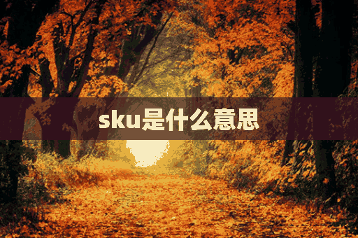 sku是什么意思(sku是什么意思啊)